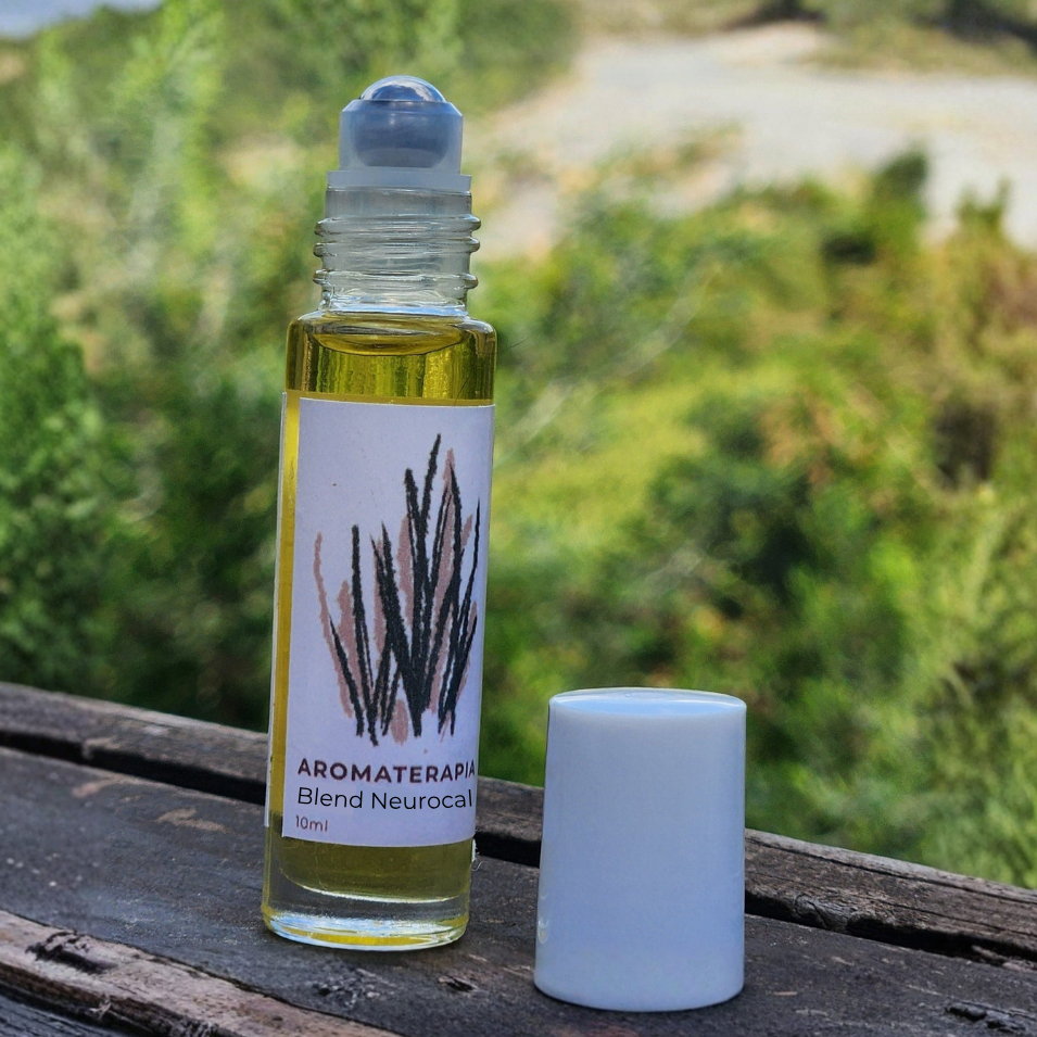 Kit aromaterapias en roll on | 4 variedades |Cuidado completo