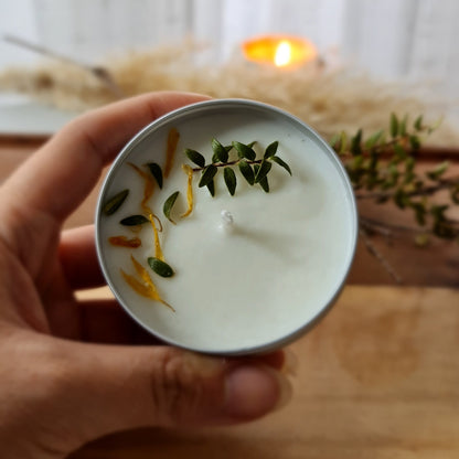 Luz nómade image 11