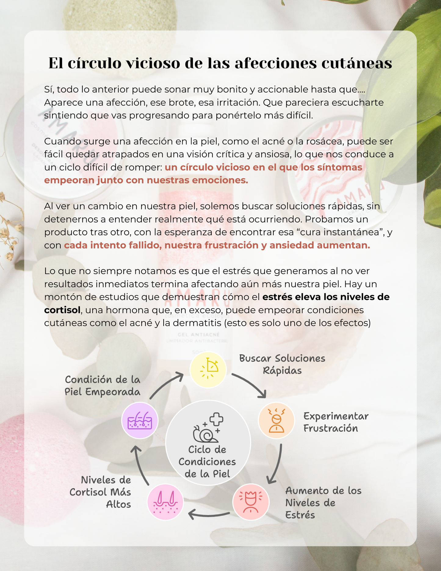 Guía digital práctica: Reconstruye la relación con tu piel