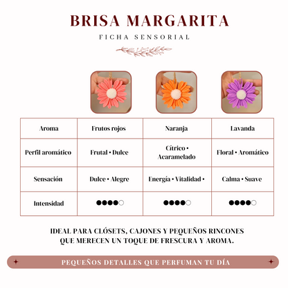 Aromatizador Brisa Floral | Clóset