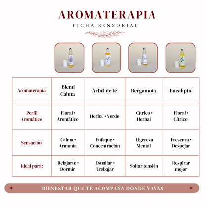 Kit aromaterapias en roll on | 4 variedades |Cuidado completo