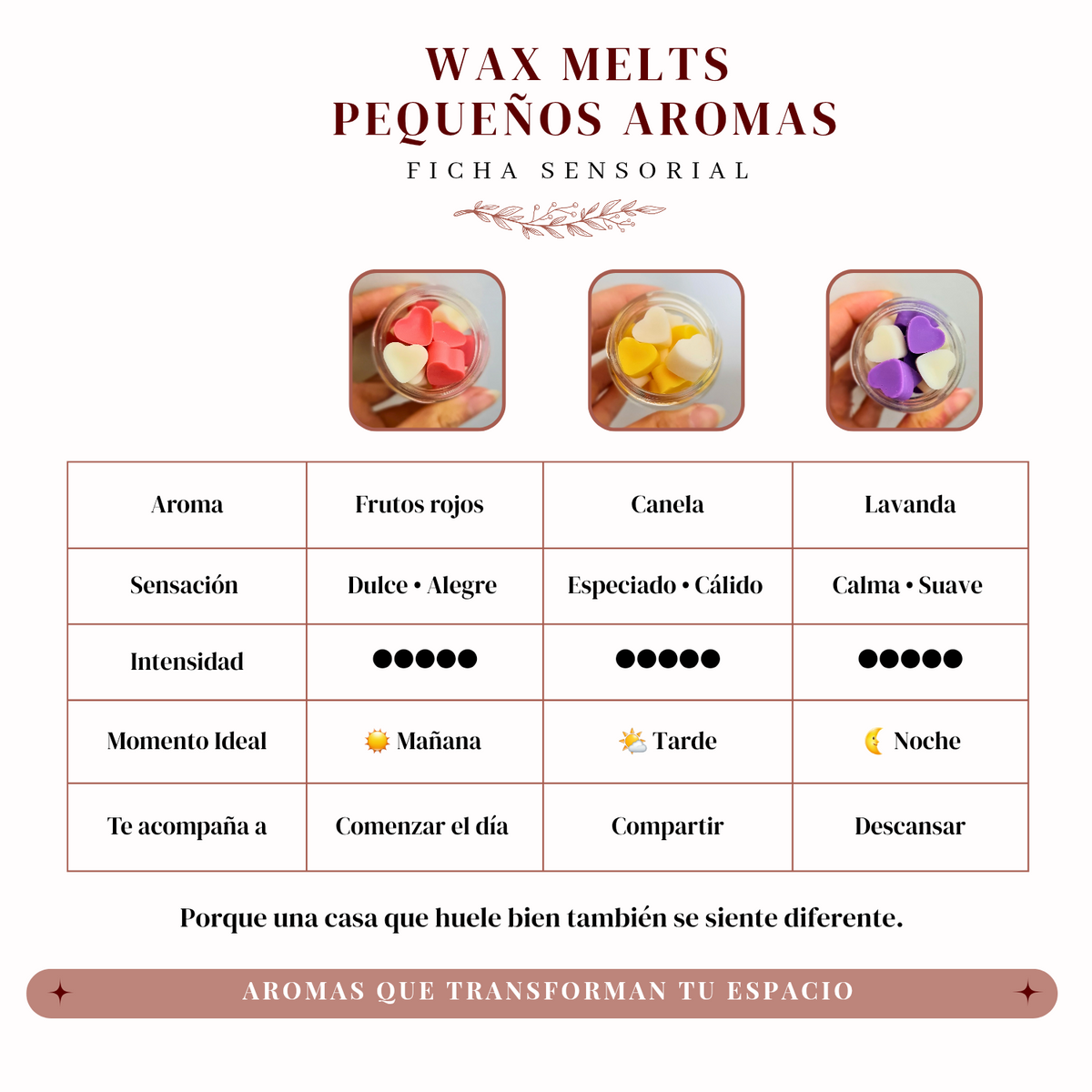 Velas Pequeños aromas | Waxmelts que crean ambientes únicos